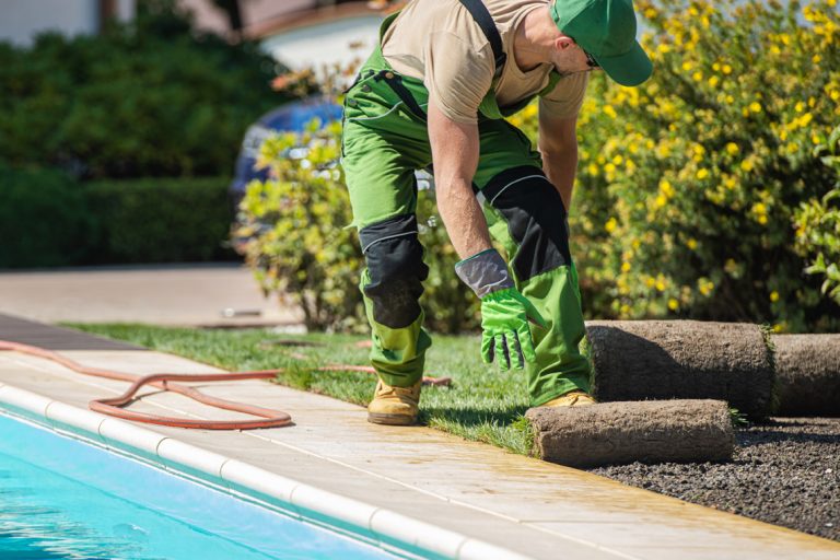 How To Level Ground For Pool Without Digging How To Level Ground For Pool Without Digging